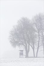 Raised hide under tree in snow covered field in the mist in winter