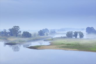 Mist at sunrise at the UNESCO Biosphere Reserve Elbe River Landscape