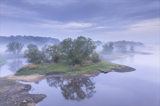 Mist at sunrise at the UNESCO Biosphere Reserve Elbe River Landscape