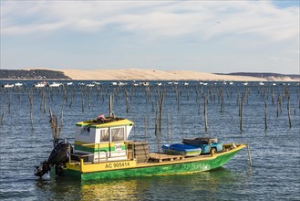 Oyster boat for oyster farming in Cap Ferret