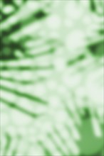 Abstract vertical green background with shade of palm leaves