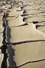 Dried earth bend upwards. The drought-cracked soil patterns display a lack of water and climate change. An arid area close-up scene. Swakop River