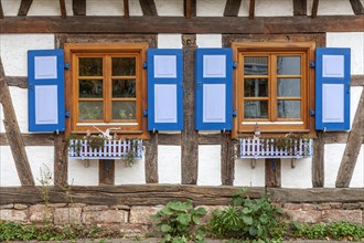 Half-timbered house with mullioned windows and blue shutters