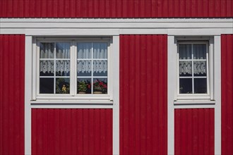 Windows in red wooden house