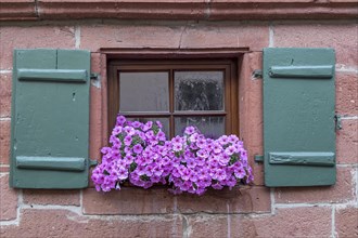 Small window with green shutters and with flower decoration