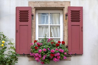 Muntin windows with red shutters
