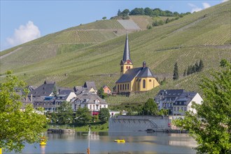 Zeltinen on the Moselle