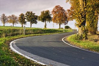 Winding road in autumn