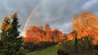 Rainbow over hilly landscape