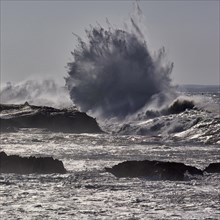 Stormy roaring sea