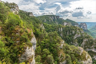 Gorges of Tarn seen from the hiking trail on the rocky outcrops of Causse Mejean above the Tarn Gorge. La bourgarie