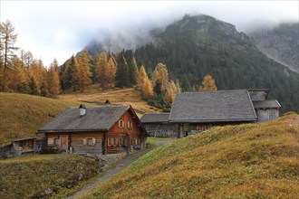Mountain huts in autumn with golden larches and foggy atmosphere in the upper Lechtal