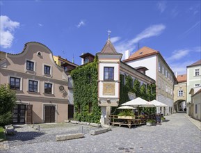 Historic houses in