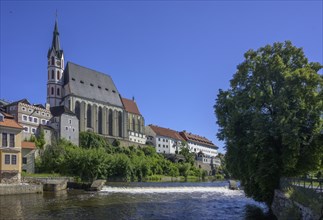 St. Vitus and Vltava Cathedral