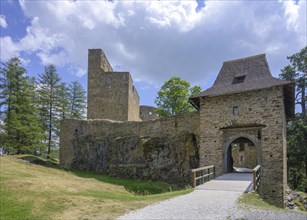 Entrance gate of the castle of