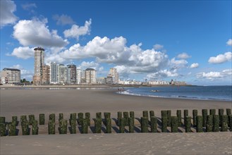 Beach and cityscape