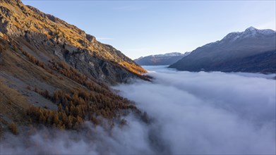 Piz Lagrev with colourful larches and fog in autumn