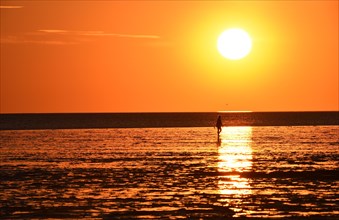 Woman walking on the mudflats in the sunset at the North Sea