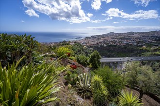 View over the city of Funchal
