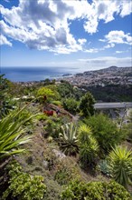 View over the city of Funchal