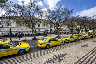 Taxis on the street