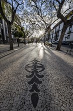 Floor mosaic on Avenida Arriaga