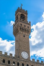 Arnolfo Tower