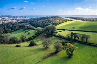 Fields and Farms over Cockington from a drone