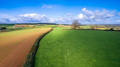 Fields and Farms over Cockington from a drone