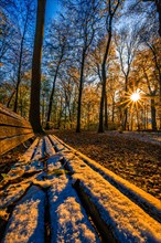 A park bench covered with snow and leaves in a deciduous forest at sunset with sun star in late autumn