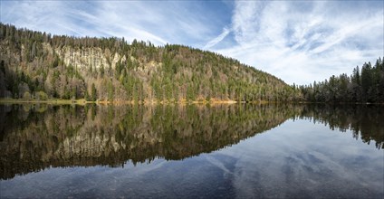 Water reflection at Feldsee in the Southern Black Forest nature park Park