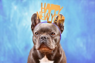 Cute French Bulldog dog wearing New Year's Eve party celebration headband with text 'Happy new year' in front of blue background