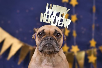 Cute French Bulldog dog wearing New Years Eve party celebration headband with text Happy new year in front of blue background with golden garlands