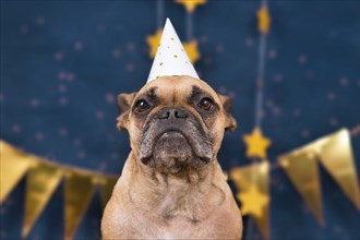 French Bulldog dog wearing New Years Eve party celebration hat in front of blue background with golden garlands