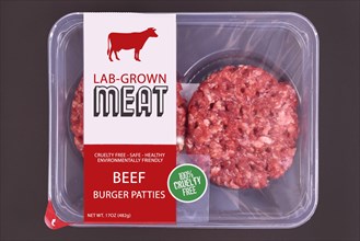 Lab grown cultured meat concept for artificial in vitro cell culture meat production with packed raw burger patties with made up label