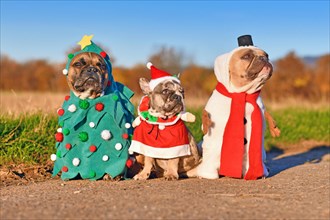 Funny adult and puppy French Bulldog dogs dressed up with snowman