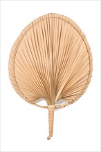 Dried natural palm tree leaf shaped into a fan isolated on white background