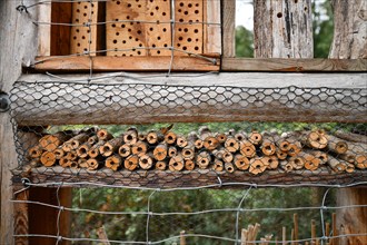 Detail of insect house hotel structure made out of natural wood material created to provide shelter for insects to prevent their extinction