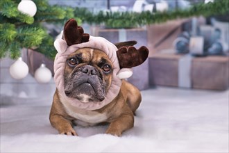 French Bulldog dog wearing cute reindeer antler headband lying down on white blanket in front of Christmas tree with gifts in blurry background