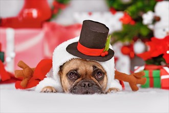 French Bulldog dog wearing funny Snowman hat with top hat in front of seasonal Christmas decoration