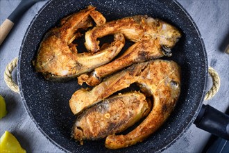 Slices of baked carp fish in frying pan