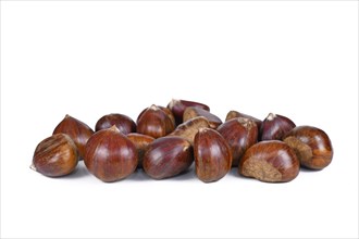 Bunch of raw sweet chestnuts on white background