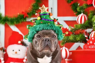 French Bulldog dog wearing funny Christmas tree headband in front of seasonal decoration