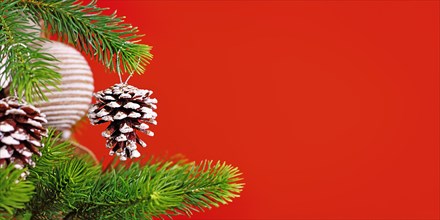 Red Christmas banner with natural fir cone ornament with snow and glitter on tree