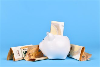 Saving money concept. White piggy bank with 50 Euro bills on blue background