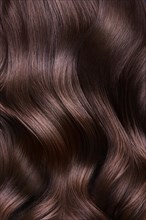A closeup view of a bunch of shiny curls brown hair