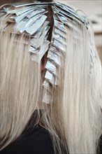 A young woman in a hairdressing salon dyes her hair blond. Hair coloring process