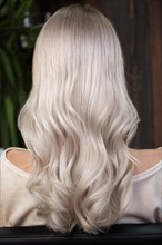 Young woman in a hairdressing salon dyes her hair blond. beauty face and hair. Back view