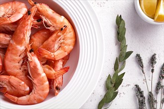 Boiled shrimps in a white plate with lemon