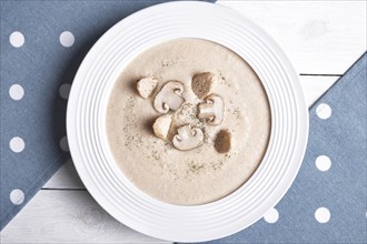 Creamy chicken soup with mushrooms on a white plate